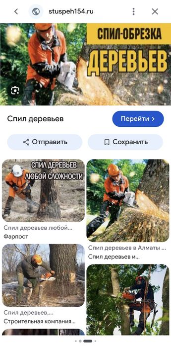 Санитарная обрезка и спиливание проблемных деревьев