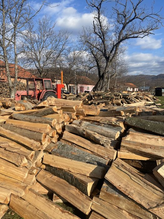 ‼️Lemne de foc de calitate superioară [Fag,Gorun,Carpen,Cer]
