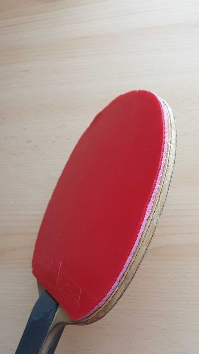 Fata de paleta tenis de masa, Joola Rhyzen