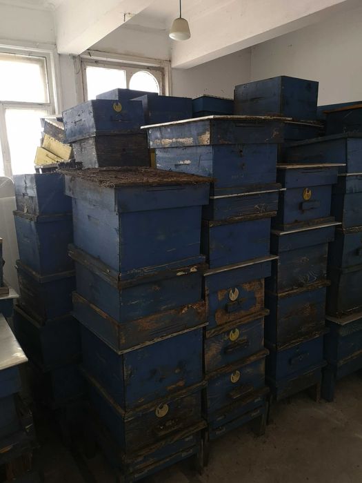 Продавам пчелни кошери