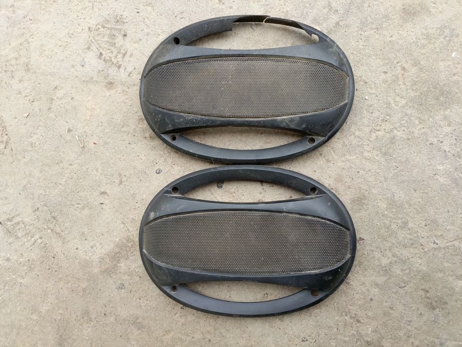 Kalonka qovun pioneer