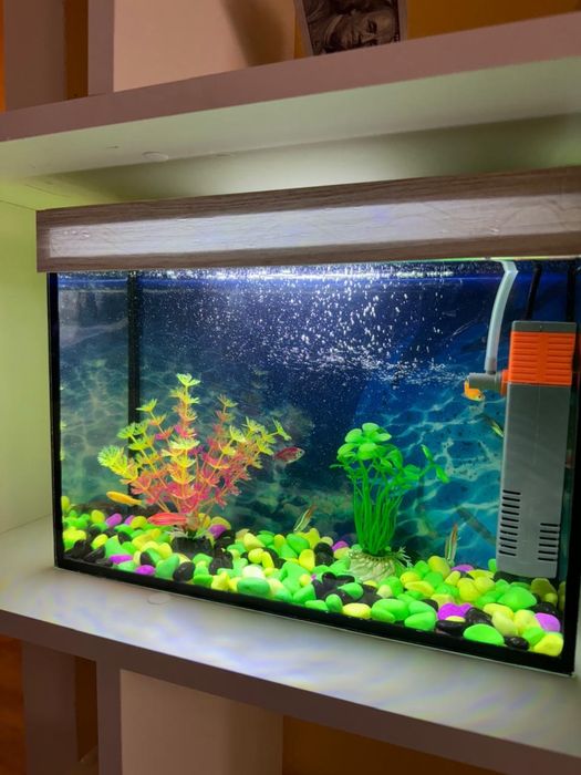 Аквариум с рыбками