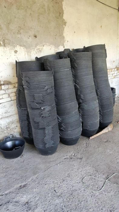 Panda tog'ora qora va rangli