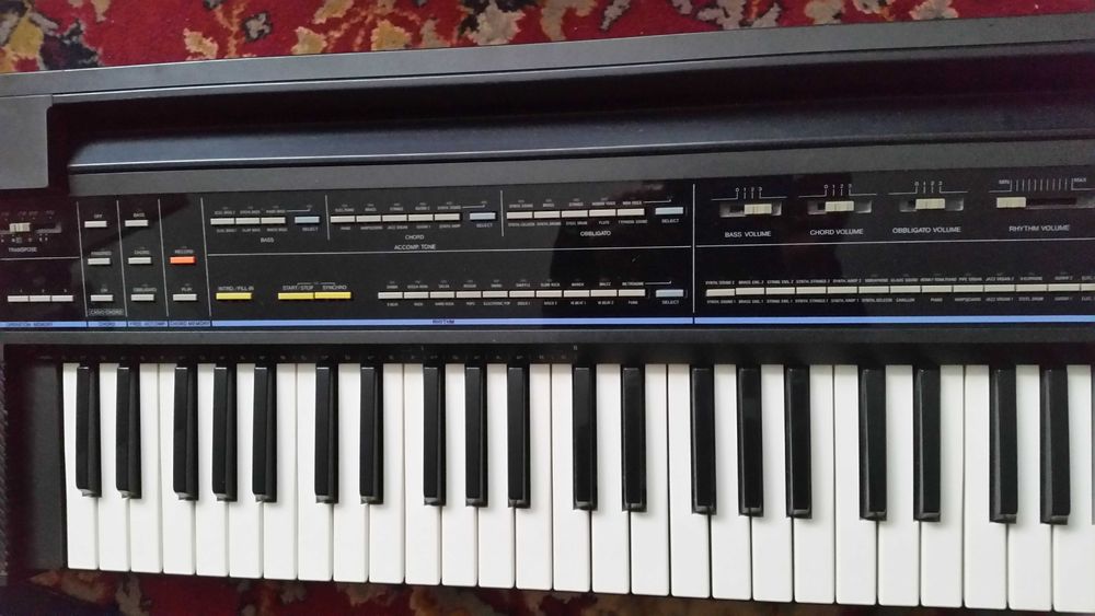 orga electronica casio CT 5500