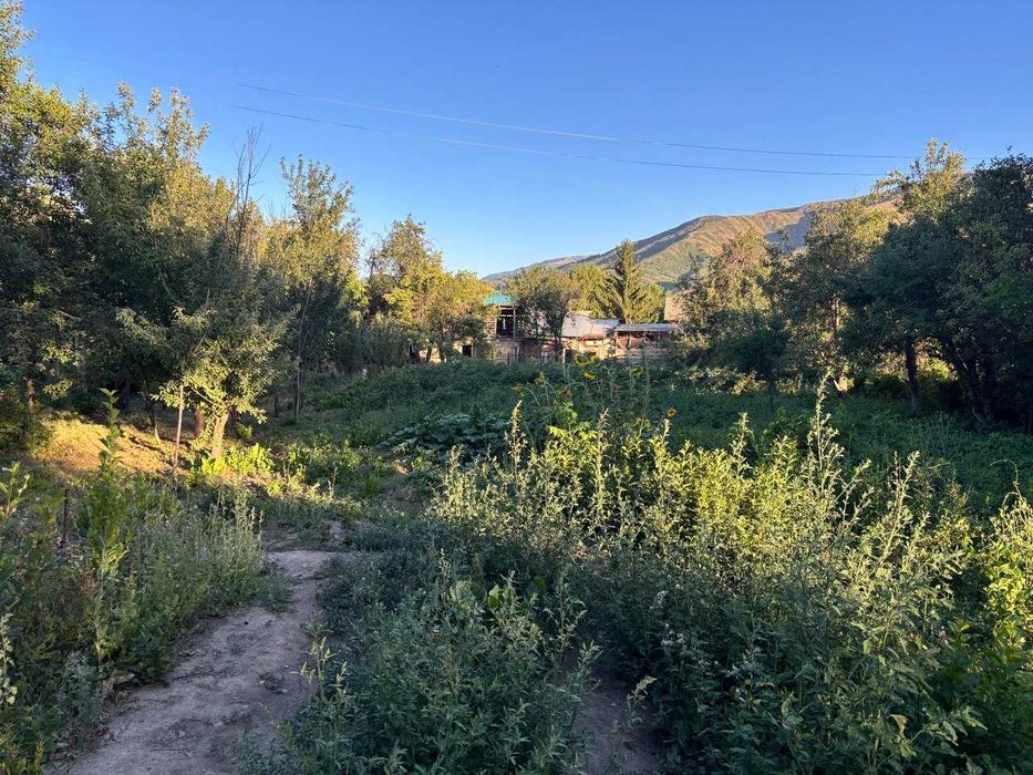 Земельный участок