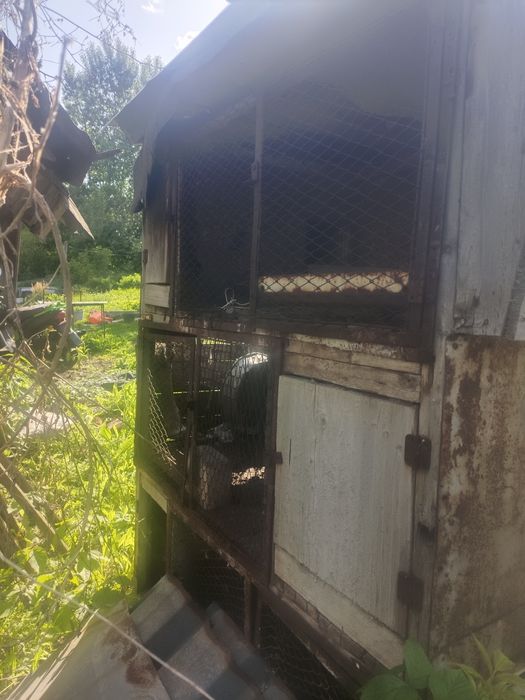 Клетки для разведения кроликов