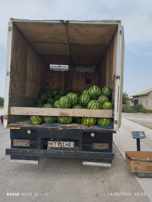 Gazel sotiladi yili 2001 Isuzu mator karobka