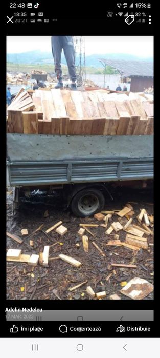 Vând bracuri de fag si butuci tăiați