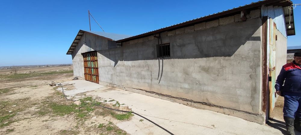 Фазенда с земельнцм участком