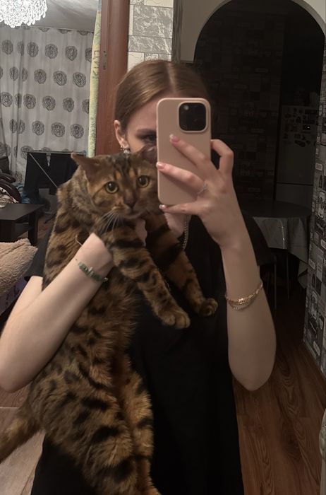 Бенгальский кот