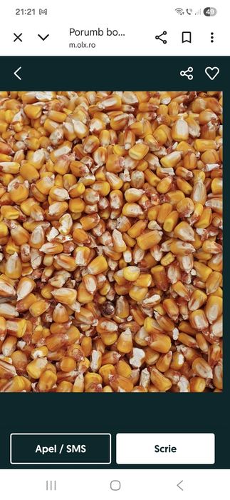 Porumb boabe 1.20 ron