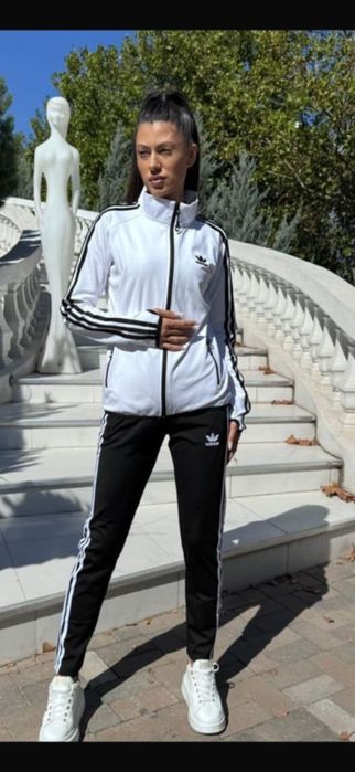 Trening dama diferite modele