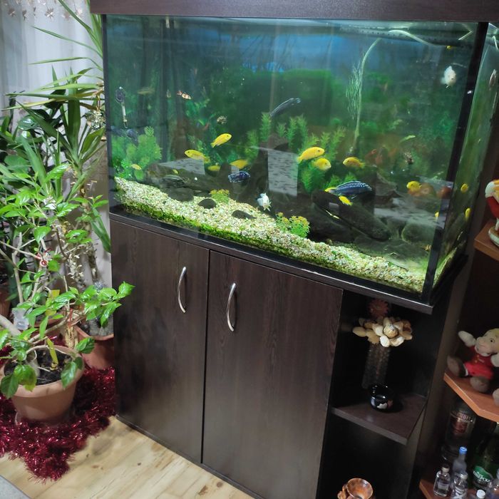 Аквариум с пълно оборудване