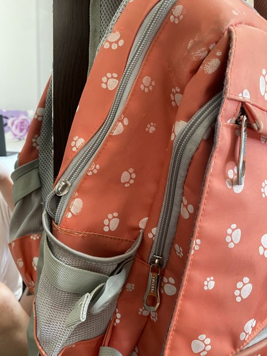 Ghiozdan pentru scoala