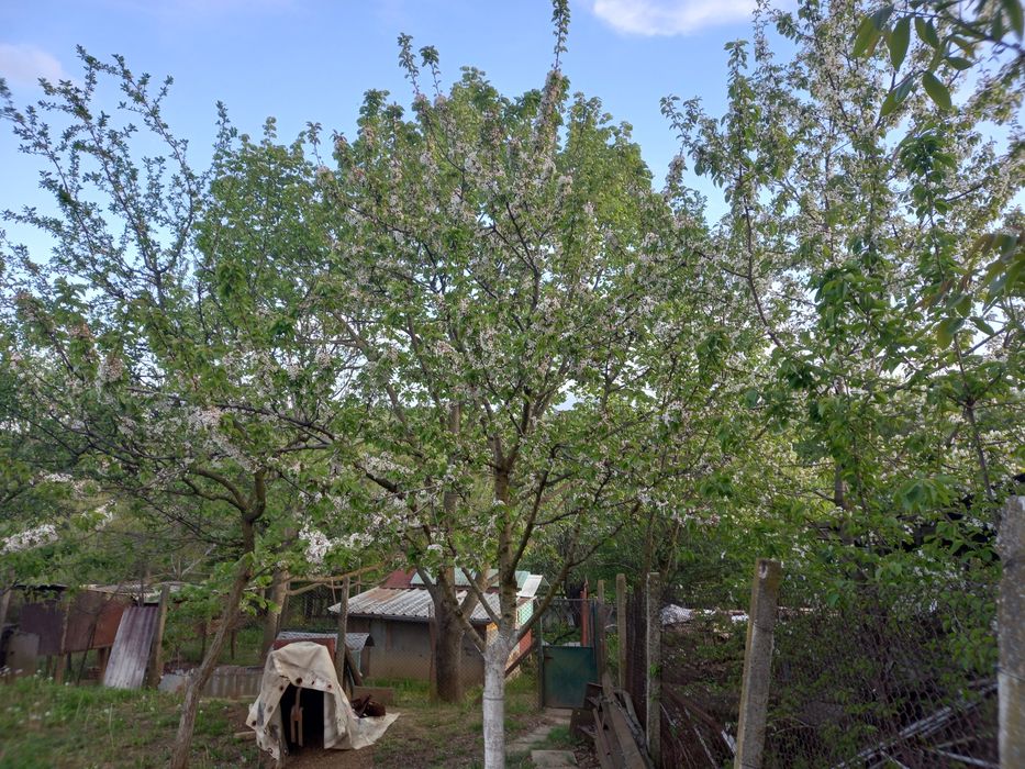 Продава се Парцел в Омуртаг - 1600 кв.м за 10 €/кв.м - Снимка #4