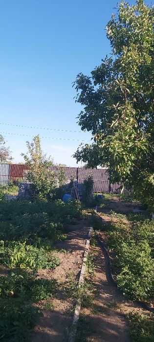 Дача на 1 водоколонке