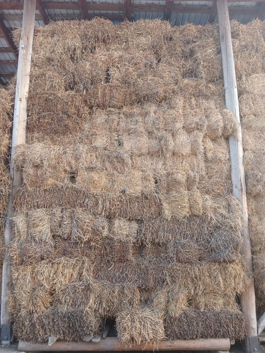 Baloti trifoi si lucernă