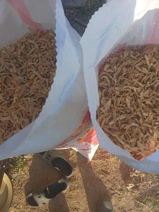 Кабачки кептрилген сатылады