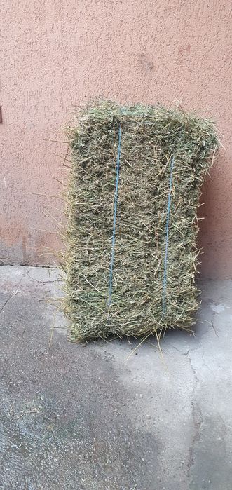 Vand baloti de lucerna