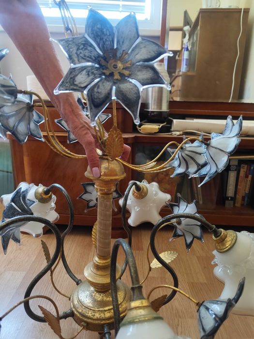 Полилей, италиански с височина 0,50 см