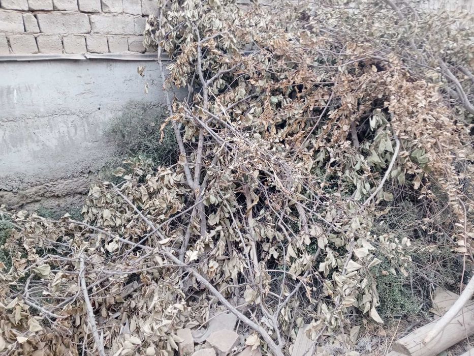 Utin sotiladi srochno