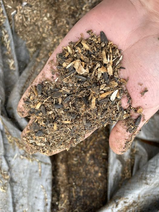 Зерно отходы, микина, отходы подсолнечника