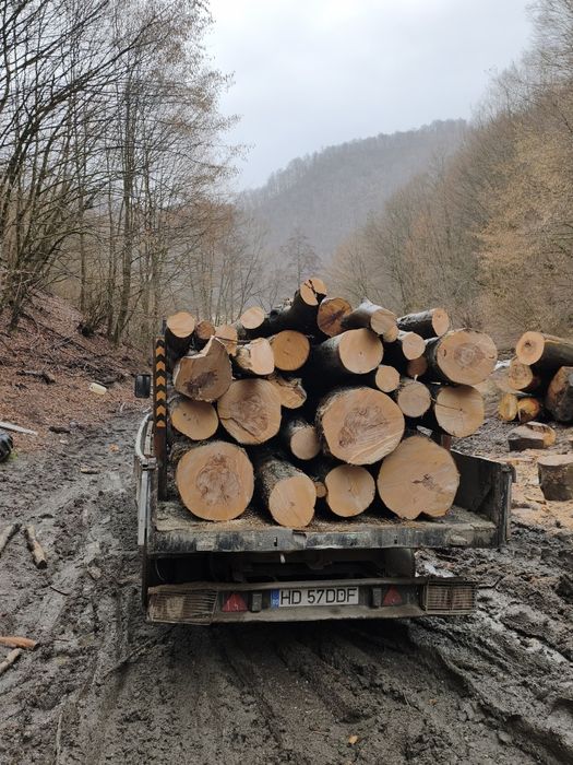 Lemn foc Fag ! Cele mai bune preturi! Tot județul Hunedoara!