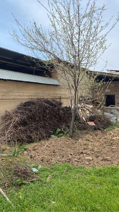 Отын срочно бесплатно