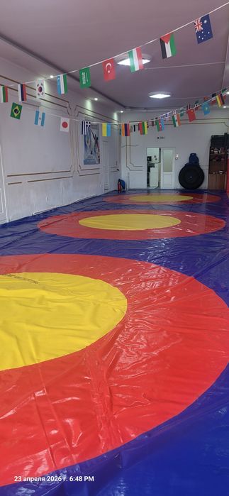 Борцовский ковер 25×6