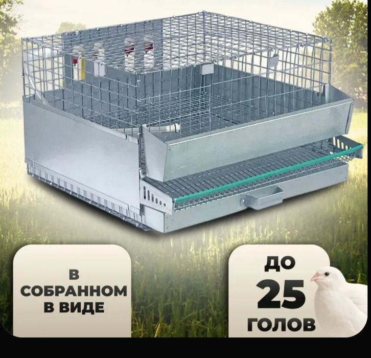 Клетка для перепелов.