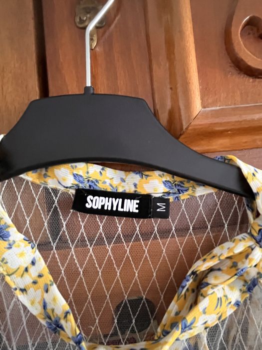 Rochita sophiline