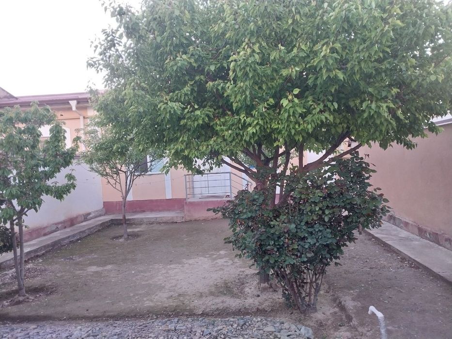 2 sotixli kottej 2017-yilgi