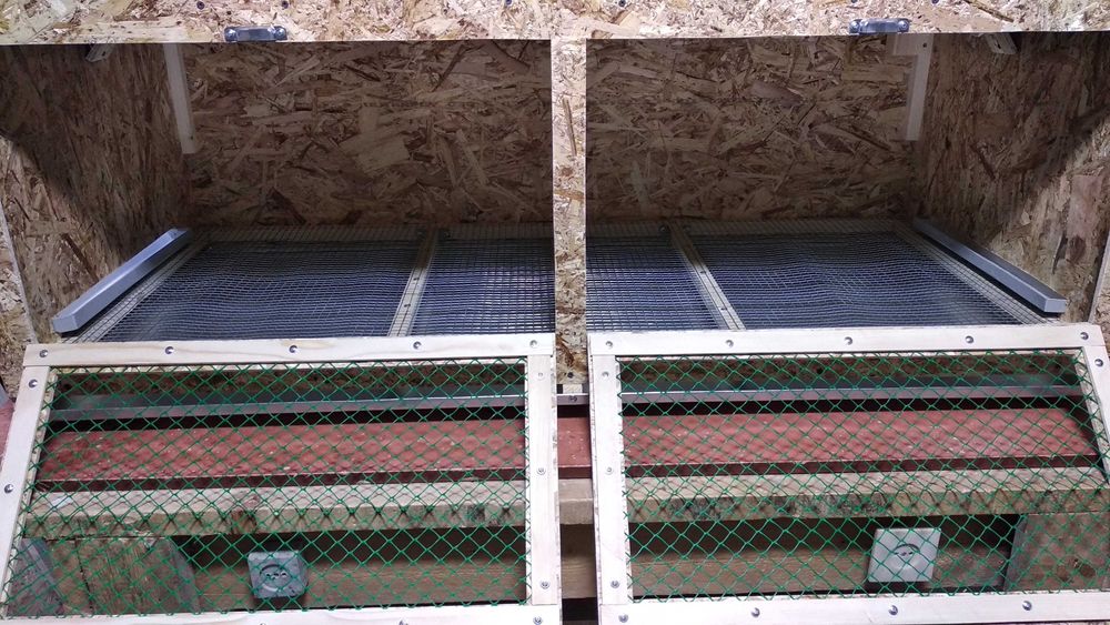 Брудер для цыплят