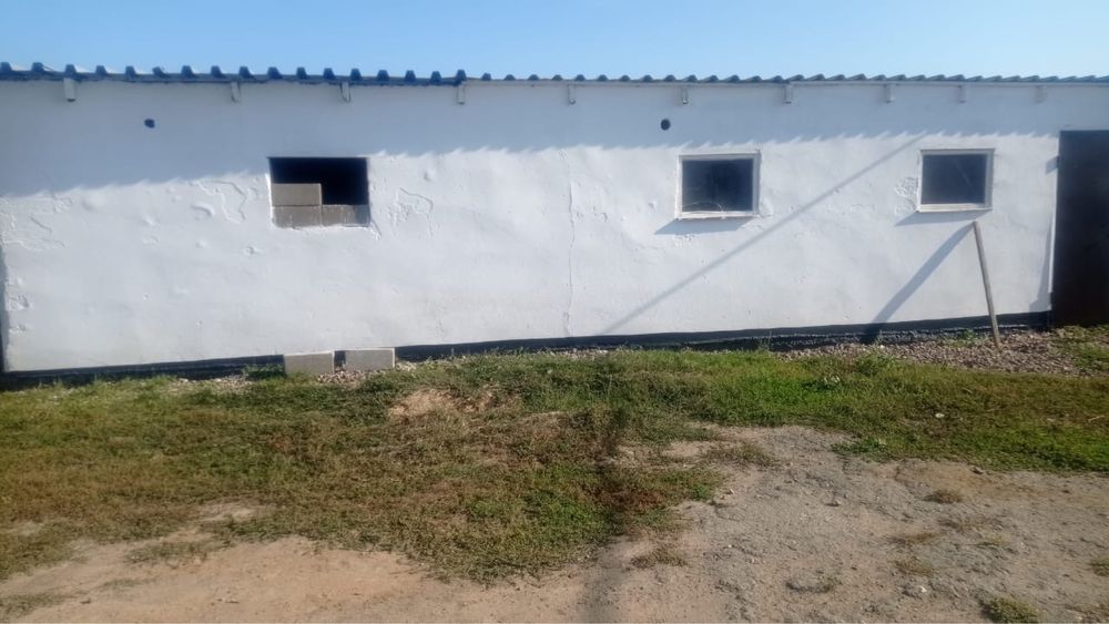 Продам дом в Дубовке