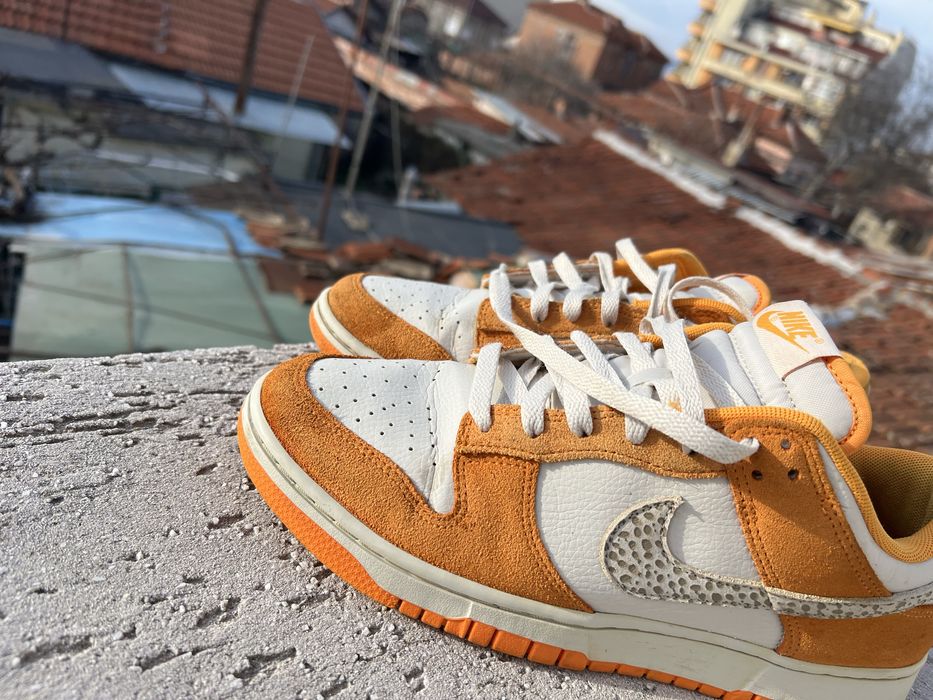 Nike Dunk Safari 43