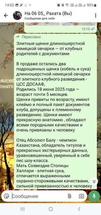 Продам элитных щенков немецкой овчарки