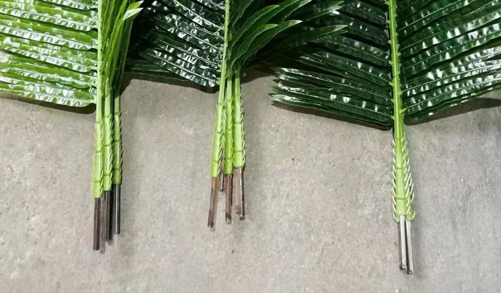 Palma daraxti barglari sotiladi xar xil razmerda