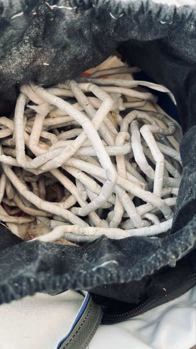 Боксерская груша