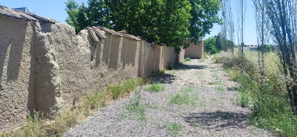 Zangi ota Korzinkada 5 sotix yer sotiladi