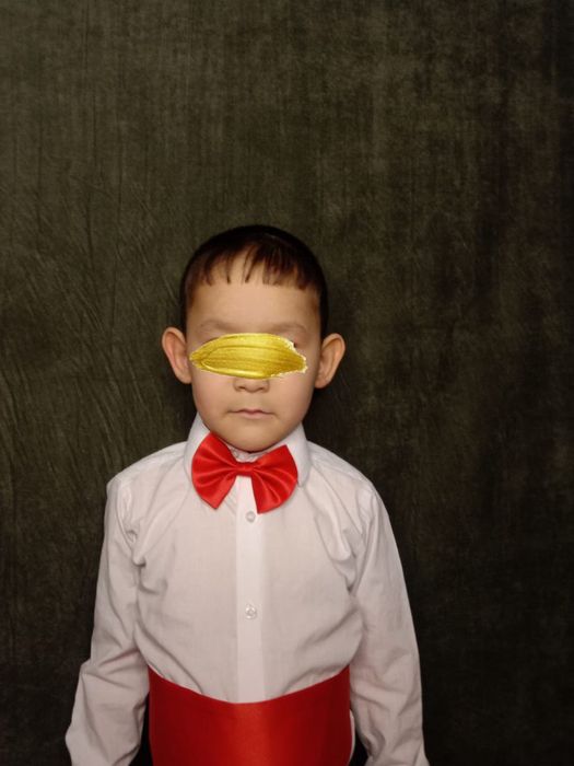 Бантик, галстуг, бабочка, белдіктер.