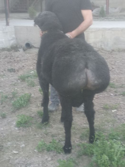 Uysiz ayollar bilan jinsiy aloqani tomosha qiling