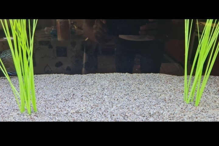 Кварцевый камень Речной ГАЛЬКА для аквариума