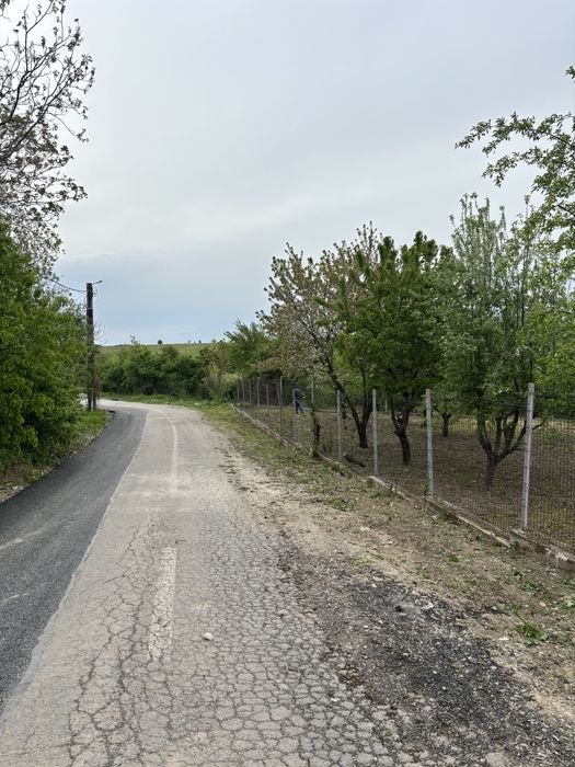 Teren de vanzare