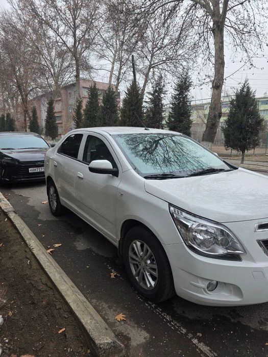 Renta car. Аренда