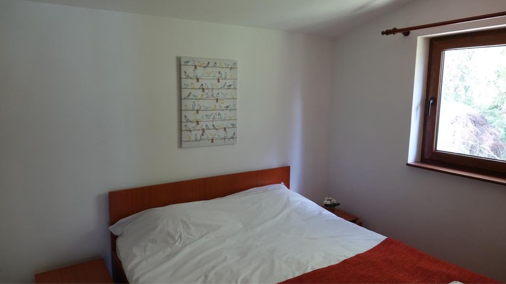 Inchiriez cabană pe malul lacului Beliș de revelion.