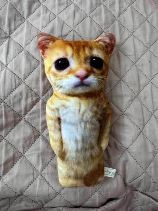 el gato ишркшка