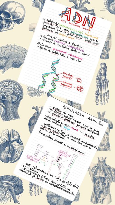 Meditatii biologie Admitere si Bac
