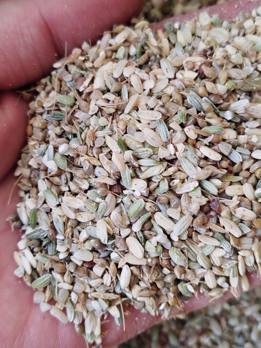 Әйелдің күйеуін алдағаны порно фильм видео