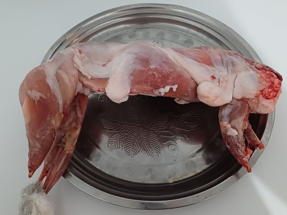 Продам мясо кроликов