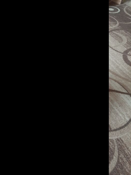 Животные , щенки  больше месяца